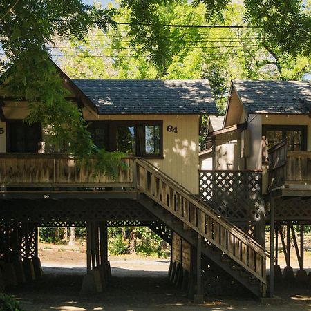 Johnson'S Beach Cabins And Campground Guerneville Exteriér fotografie