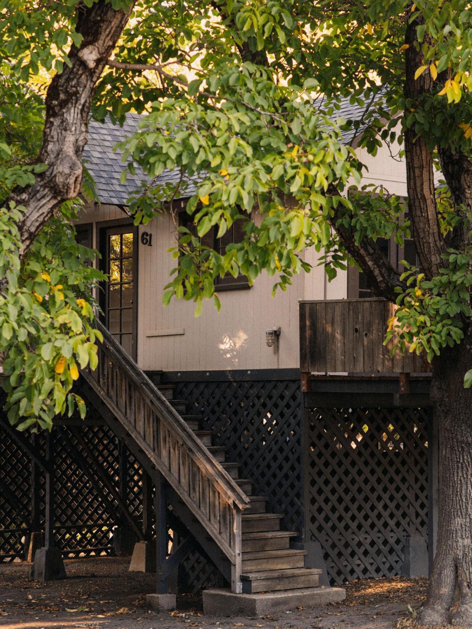 Johnson'S Beach Cabins And Campground Guerneville Exteriér fotografie