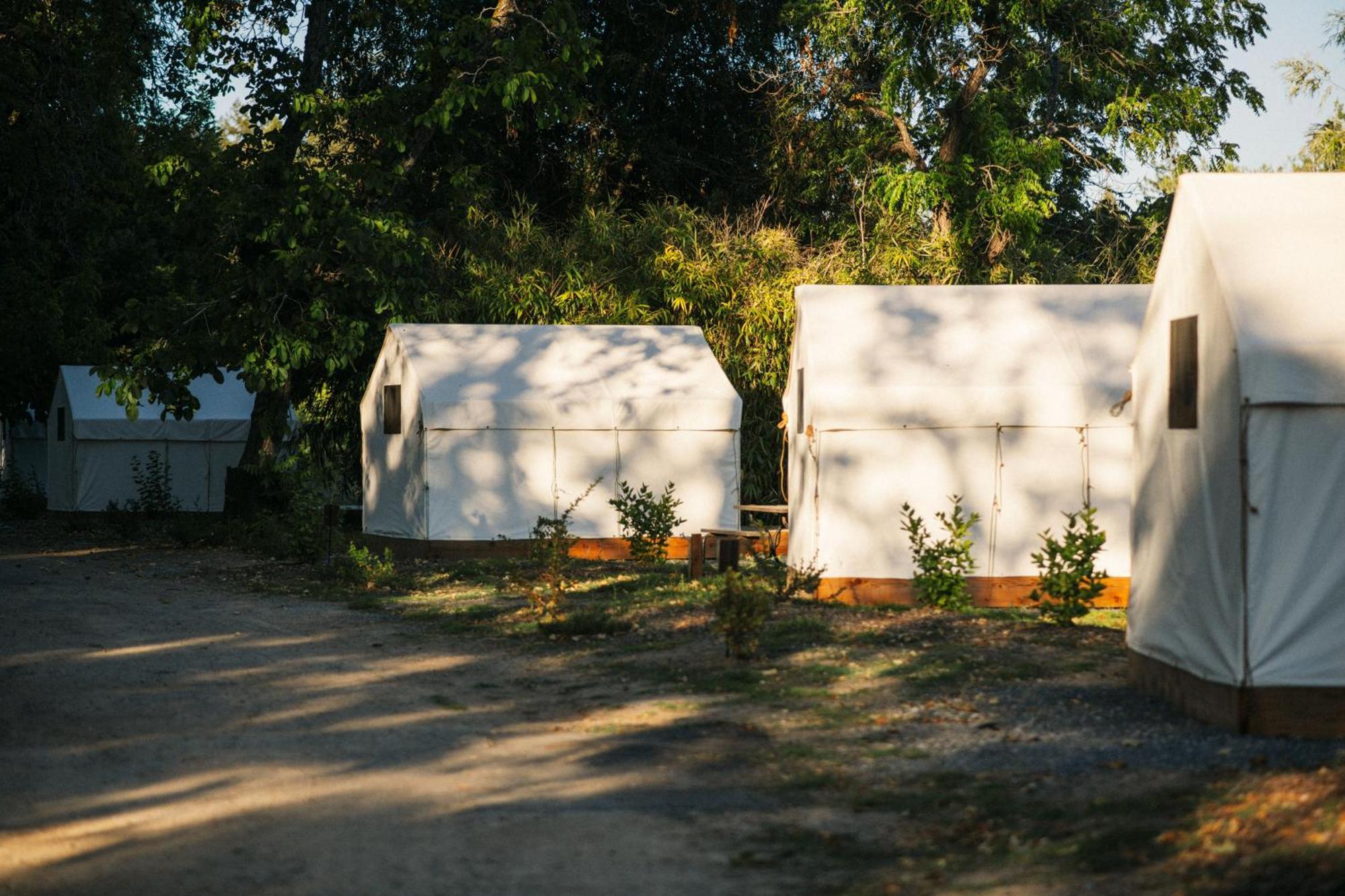 Johnson'S Beach Cabins And Campground Guerneville Exteriér fotografie