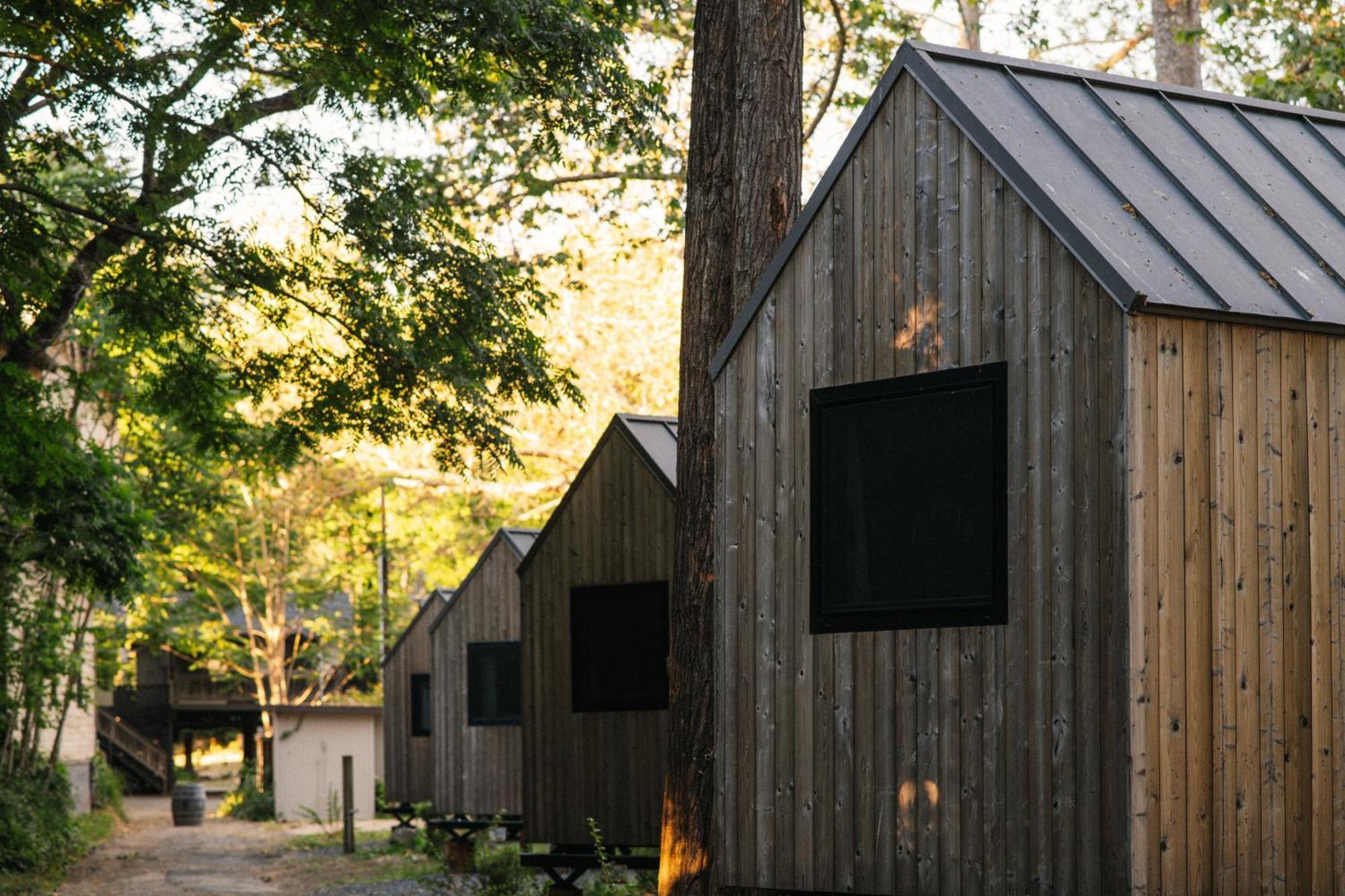 Johnson'S Beach Cabins And Campground Guerneville Exteriér fotografie